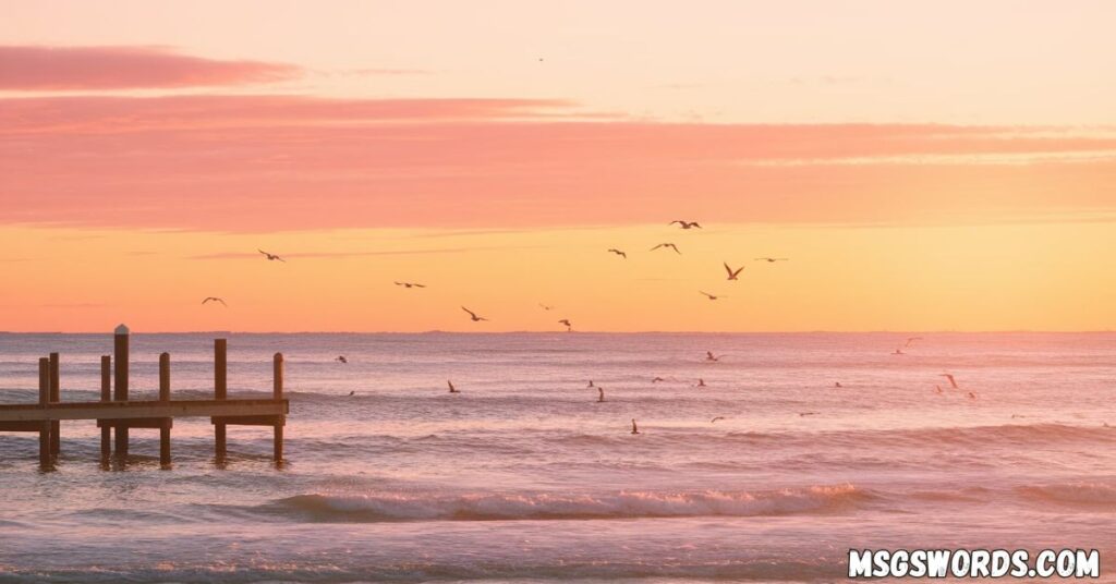 Good Morning Friday Blessings