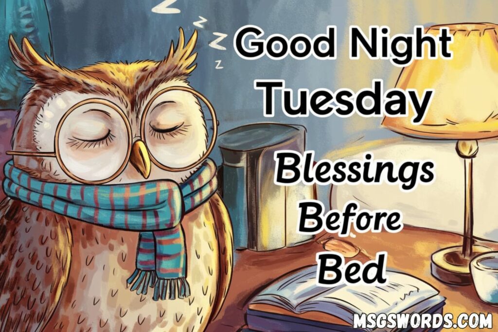 Sleepy Good Night Tuesday Blessings Before Bed