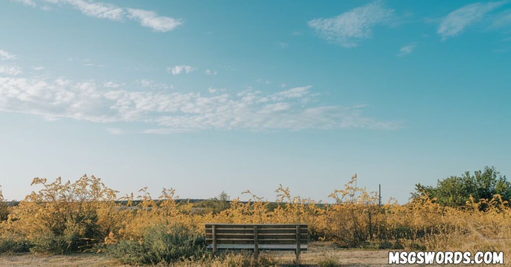 Blissful Friday Blessings Images